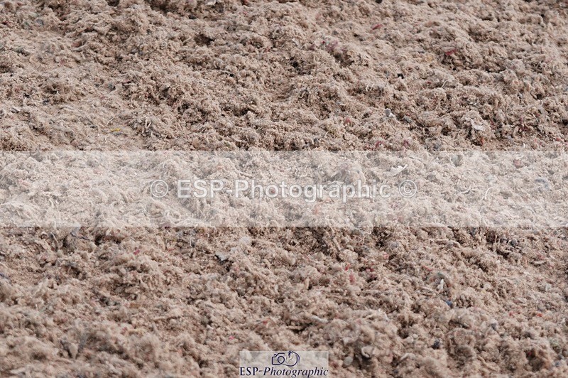 250608-115226-02525 - Cls 6 Pony Discovery 2nd Round