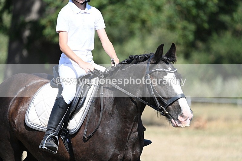 WJ7_9561 - Time 10:32 to 10:55