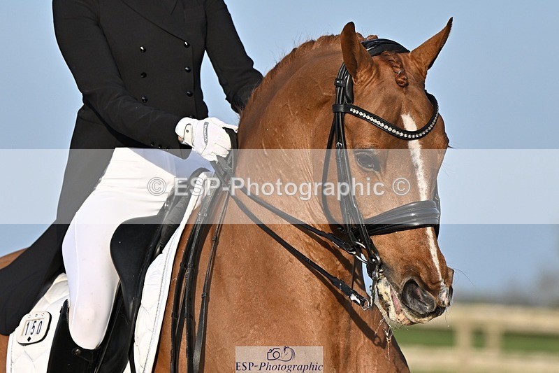 250404-183534-08724 - 150-Nathalie.Wahlund-Cerano.Gold