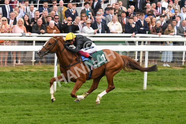 yr13052022r4-47 - Race 4 3.35pm The Paddy Power Yorkshire Cup (British Champions Series Race)
