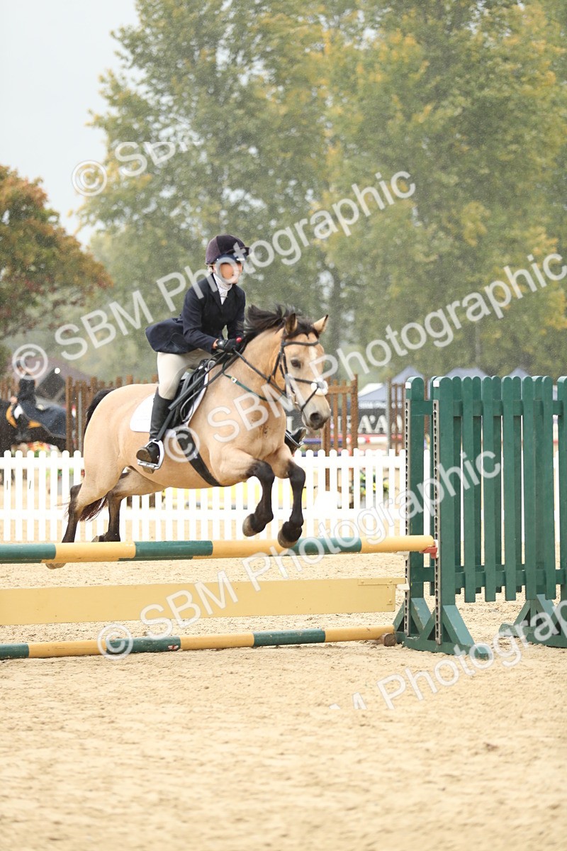 SBM_70463 - J15 - Junior Pony 70cm Championship
