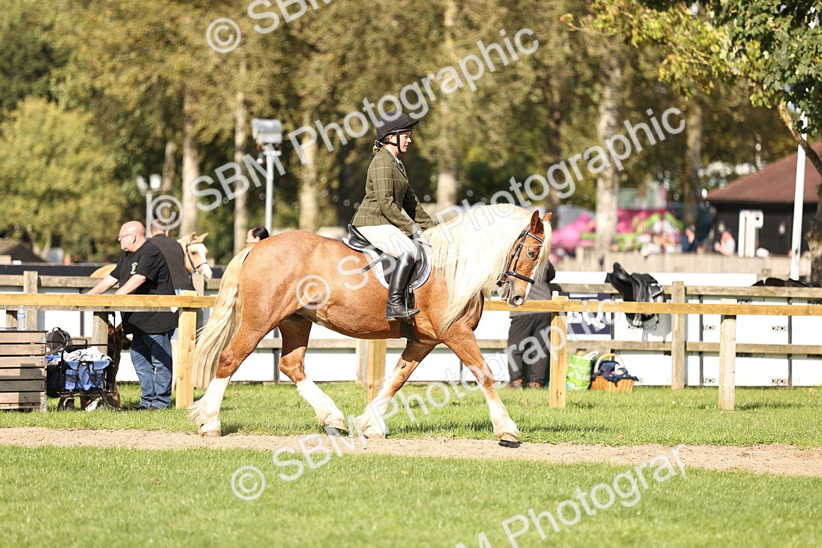 SBM_26328 - S6 - Novice & Newcomers Ridden Horse