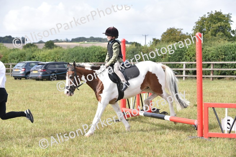 20250831-0484 - Class 7 - Absolute Novice 35cm