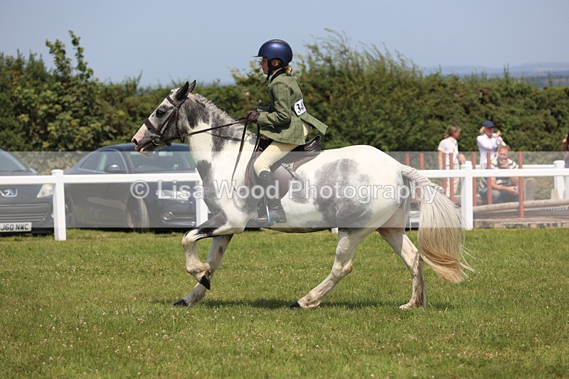 JPP_3270 - Class 22: Working Hunter 70cm