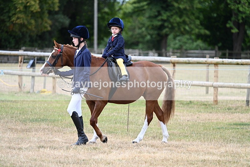 WJ7_9545 - Class 1 Lead Rein Pony