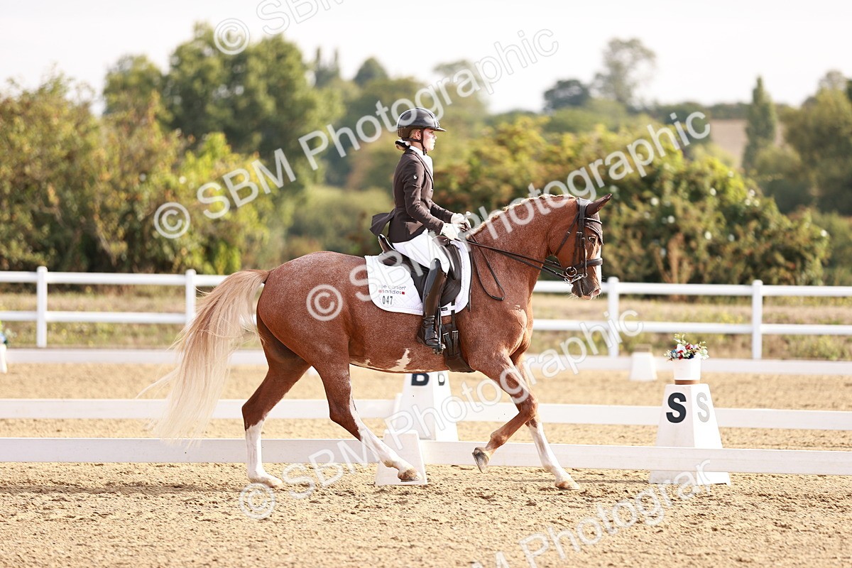 SBM_016859 - Class 10 - Medium 6