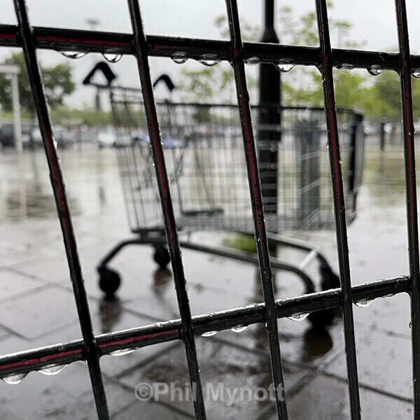 PhotoMynottART081 - Photo Mynott ART Images