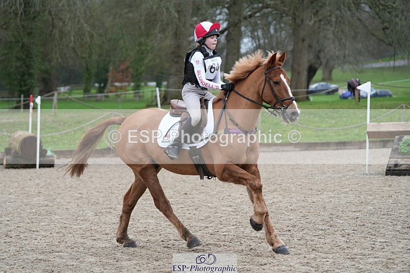 260301A-110511-01862 - NSEA 80-85cm