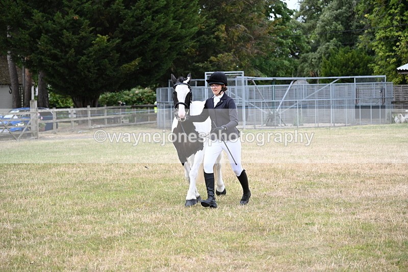 WJ6_4252 - Class 10 Coloured In-hand
