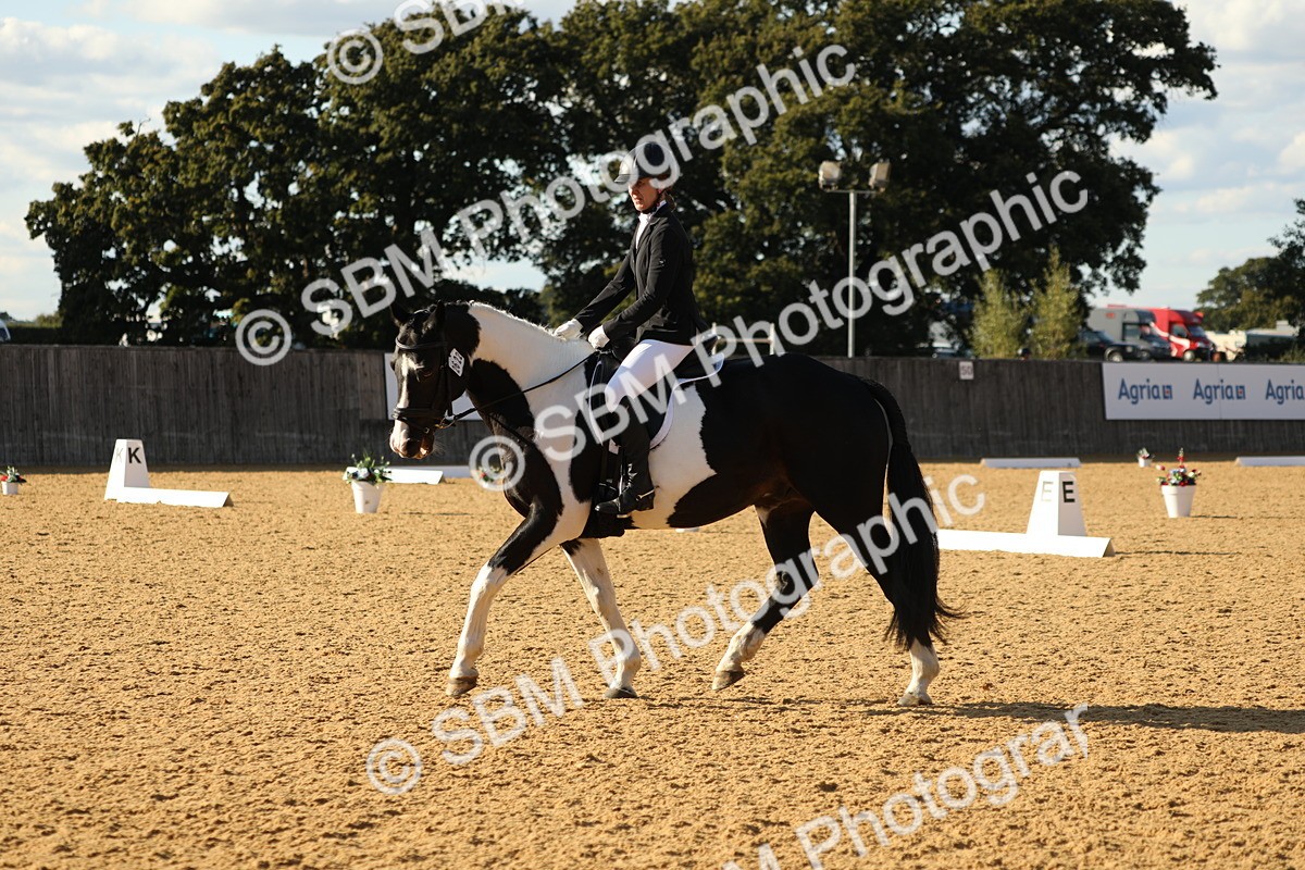 SBM_28524 - D20 - Grand Tour Championship - Elementary 44