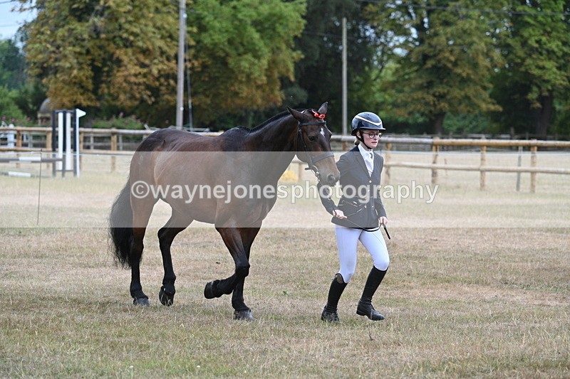 WJ7_9790 - Class 5a Most Handsome Gelding (above 14.2hh)