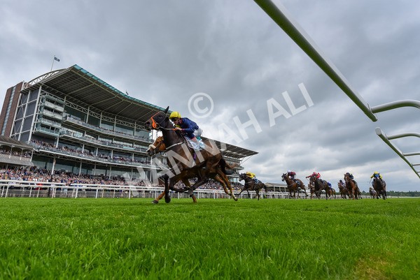 160524-Race 2-Point Lynas-2-3 - Race 2 2.45pm Oakmere Homes Hambleton Handicap