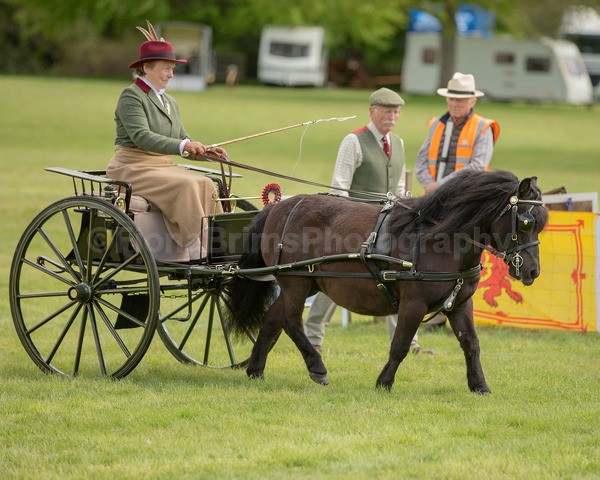 Attelage -977 - CIAT Glamis 2026