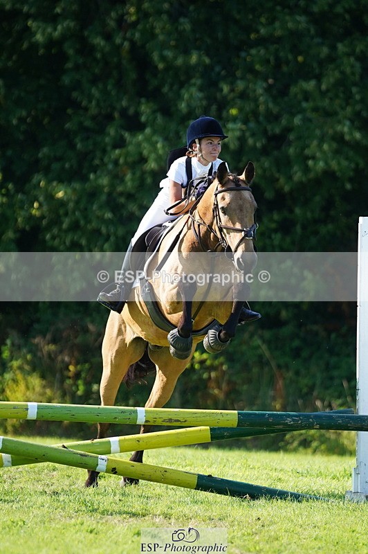 240811A-171002-06554 - 422-