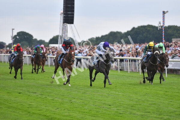 yr23072022r6-31 - Race 6 5.00pm Sky Bet Partnership with Support Dogs Stakes