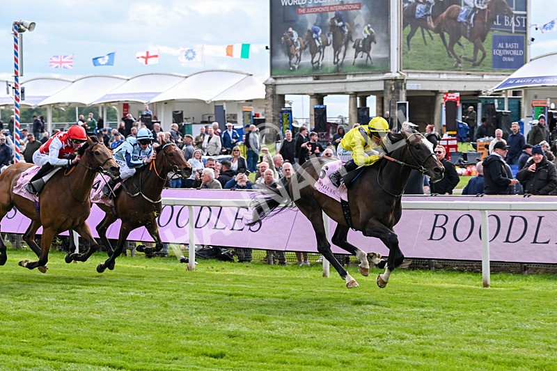 150526-Race 5-Rahiebb-8129 - Race 5 4.05pm Boodles Yorkshire Cup Stakes