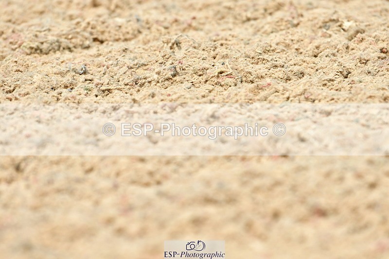 230702A-133513-10052 - Cls 31 Medium 69