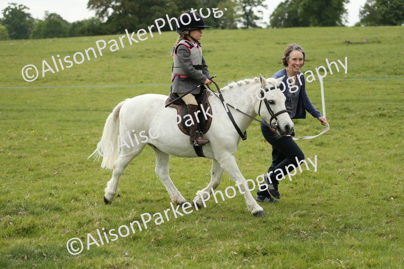 20250517-0576 - Class 20 - Beginners Working Hunter