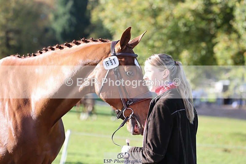 241027-103605-15988 - 591-Zennor.Harvey-GOODFELLA.GIO