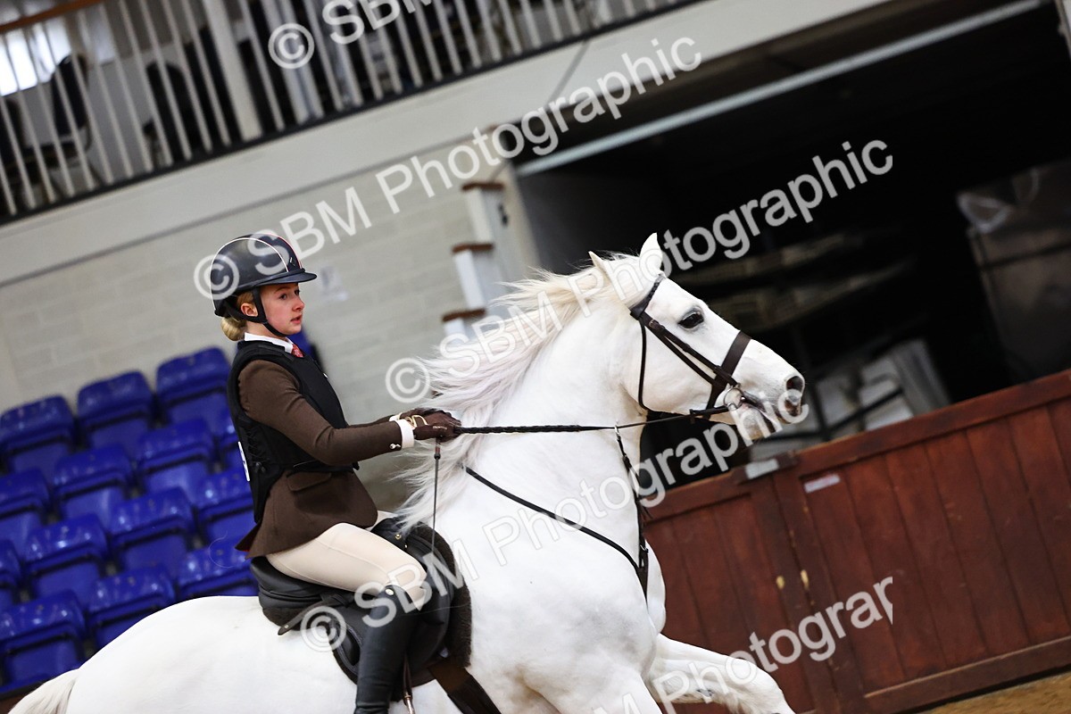 SBM_006494 - Class 43 - RIHS Qualifier Exceeding 43cms