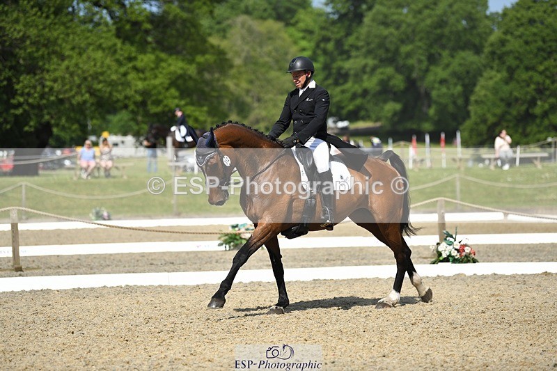 230525-102706-01712 - 312-J'ADORE_SALSA-Michael_Owen-WEDTrotUp+DR