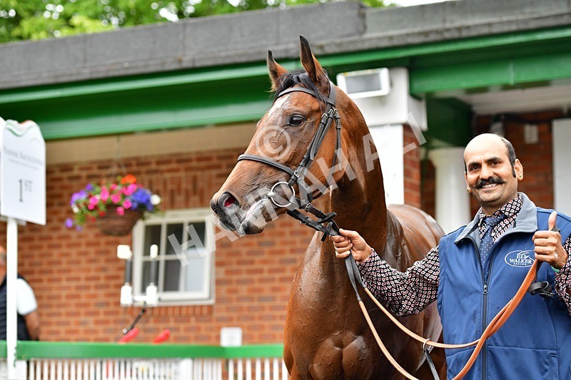 170625-Race 1-Royal Fixation-3530 - Race 1