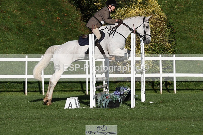 231022-093842-24007 - 608-SIR.HAROLD-William.Cursham-TrotUp+SJ