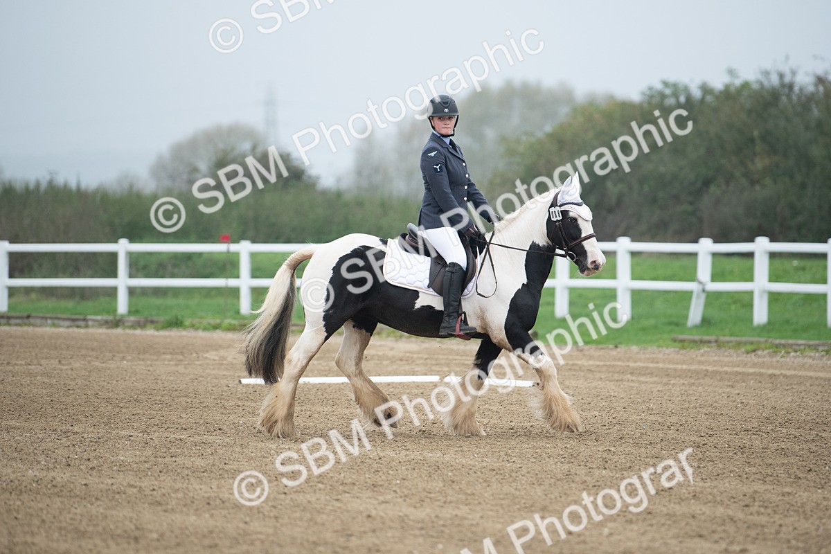 SBM_003360 - Introductory Test 3