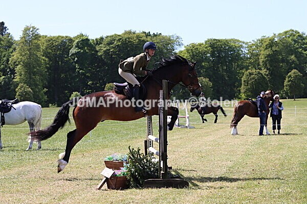 IMG_4207 - Working Hunter