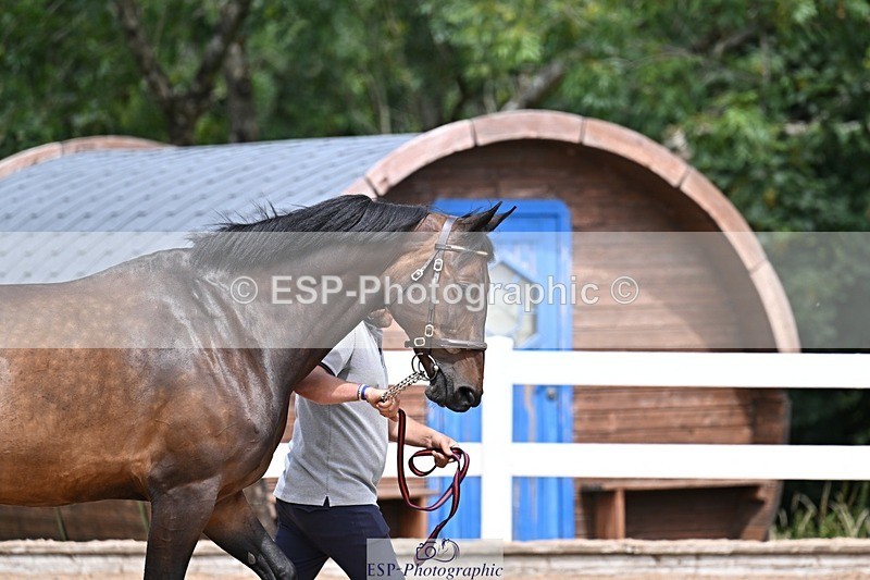 250716-125626-00231 - Trot Up 12.30 to 1.30