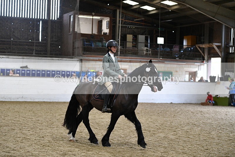 WJ5_7875 - Class 13 Ridden Part Breed