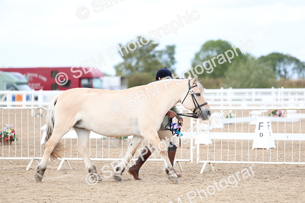 SBM_04005 - Class 25 - IH Foreign Breeds - Pure Bred