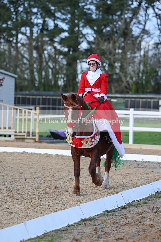 3E7A5008 - Class 5: Novice