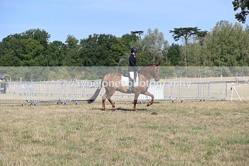 WJ6_7217 - Class 33 Rescue Pony