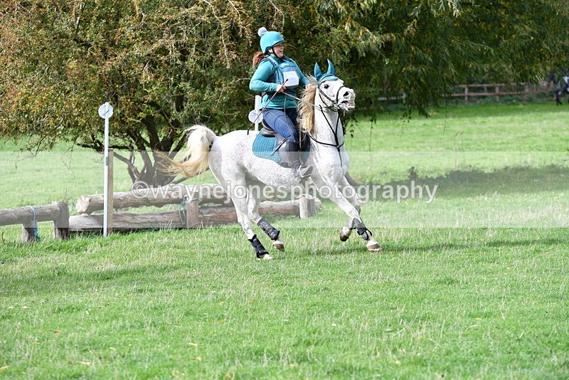 WJ5_9488 - Time 13:03 to 13:25