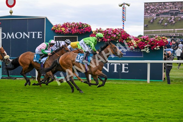 210824-Race 1-Jm Jungle-4533 - Race 1 1.50pm Symphony Group Handicap