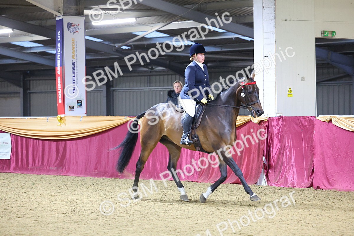 0B8A4286 - Class 108Ridden Retired Racehorse- Final Judging