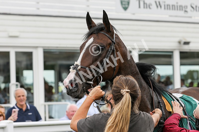 240724-Race 1-Easy Peeler-3263 - Race 1