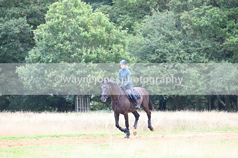 DSC_8407 - Time at Statue 13:52 to 14:33