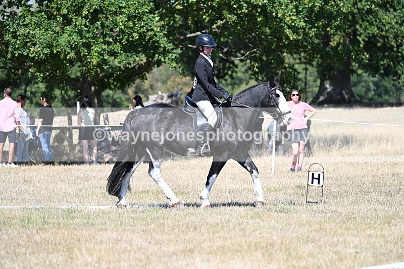 WJ7_0925 - Time 12:34 to 12:47