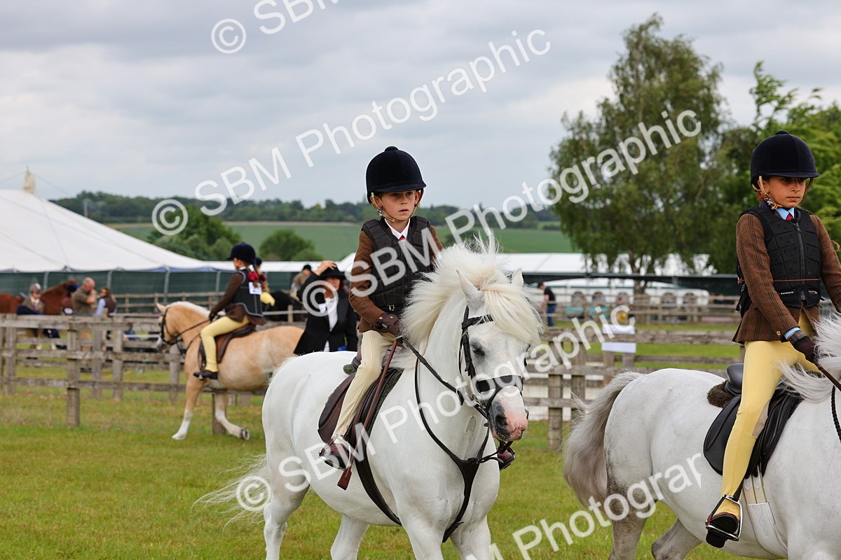 SBM_08572 - Class 42-43 - LIHS BSPS Heritage Working Sports Pony