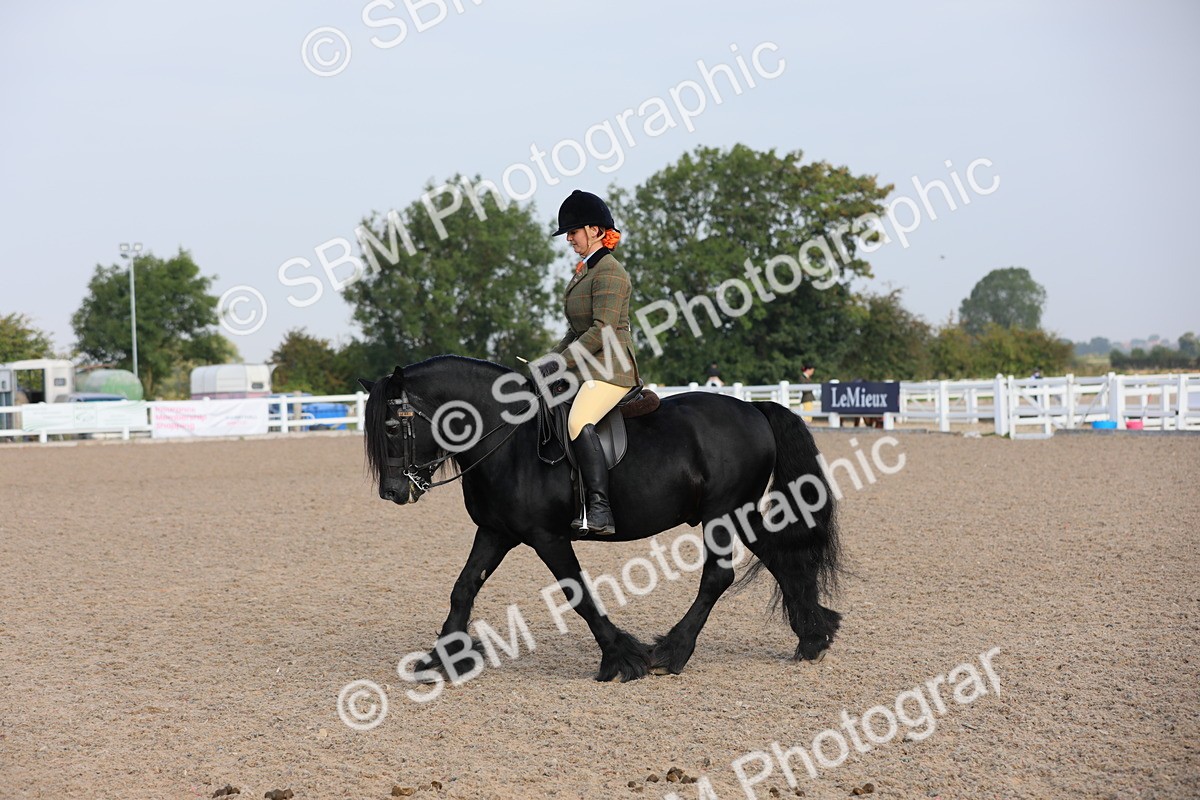SBM_10119 - Class 302 Ridden M&M -Large Breeds