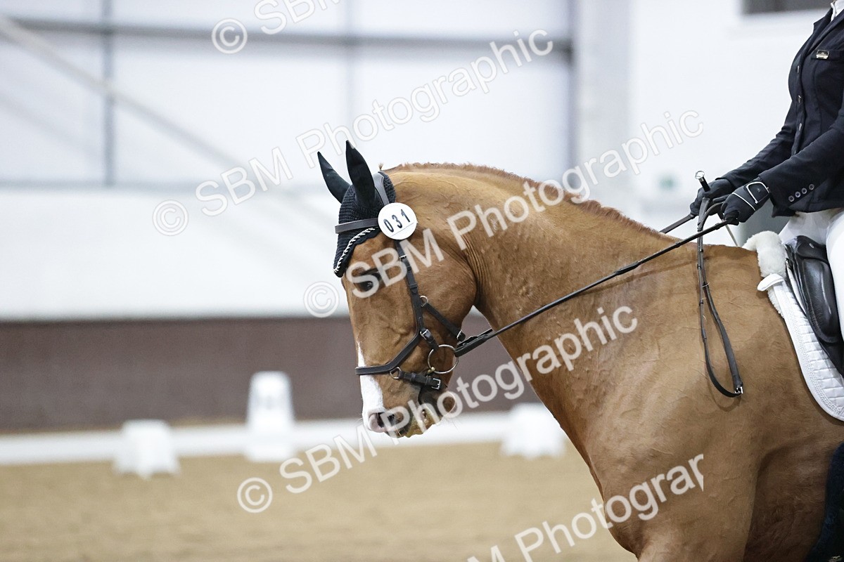 SBM_007282 - Class 5 - Novice 5