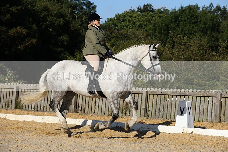 1X9A7560 - Class 7: Novice Ridden Hunter/Hack/Cob/Riding Horse