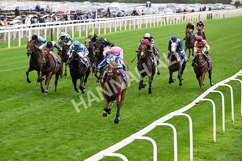 200826-Race 3-The Lost King-0433 - Race 3 15.00pm Sir Kevin Sinfield 7 In 7 Grand Finale Handicap