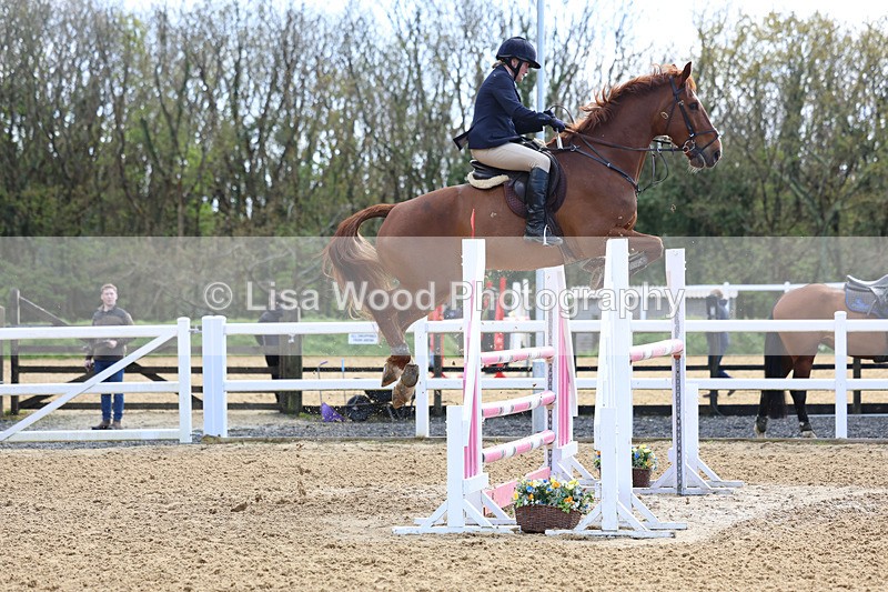 3E7A2092 - Class 8: Senior Foxhunter/1.20 open