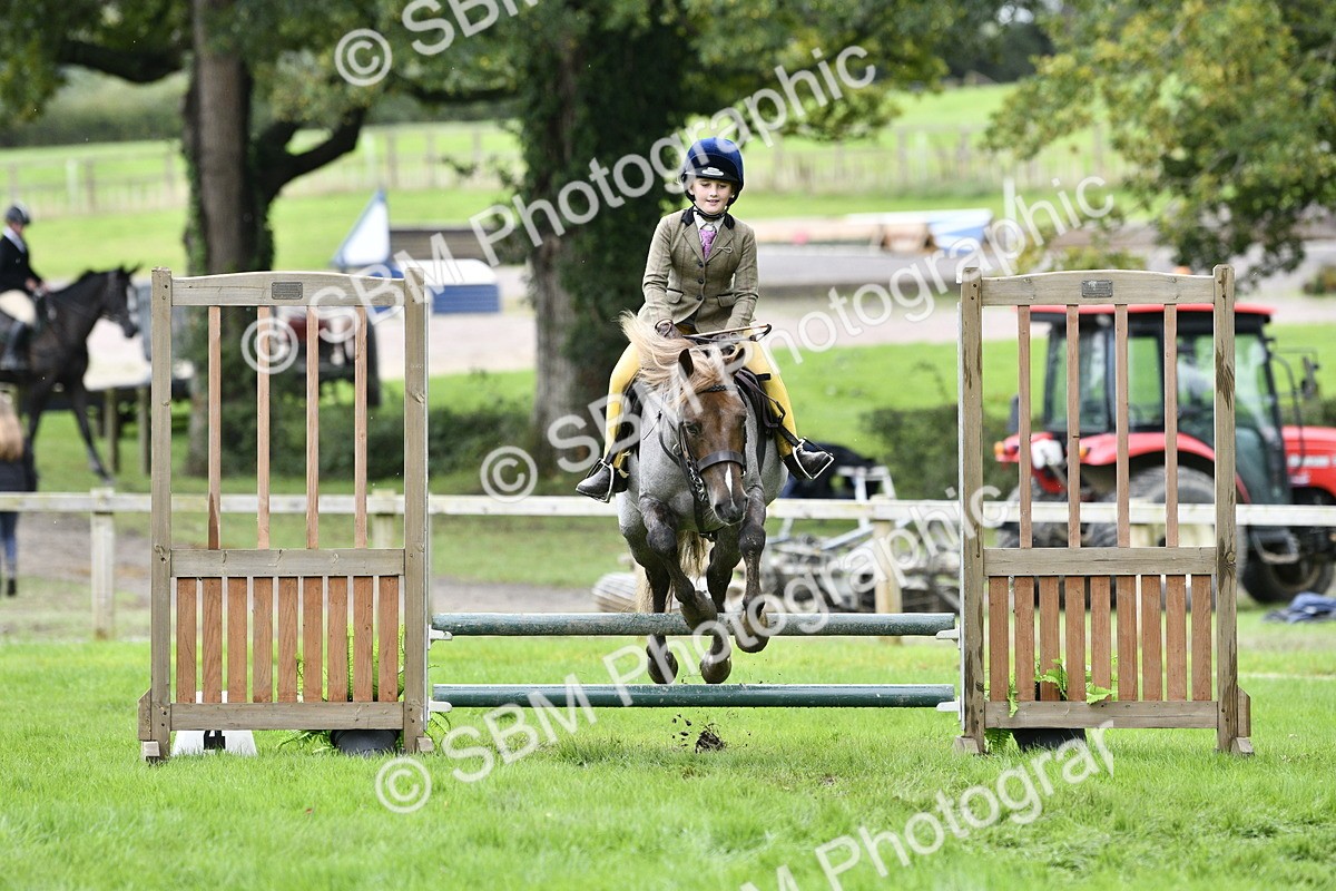 SBM_41324 - S32 - Mountain & Moorland Working Hunter Pony