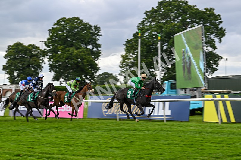 090824-Race 5-Quietness-4743 - Race 5