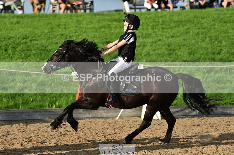 230902A-180226-02419 - Evening Ride and Run