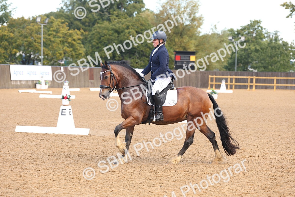 SBM_36765 - D18 - Grand Tour Championship Novice 2